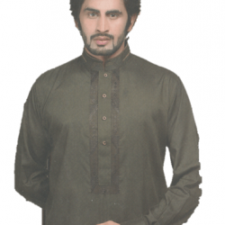 Shalwar Kameez v22-013-02