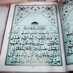 Quran 55AR – Standard 12 Line Edition for Easy Recitation