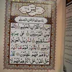 Surah Yaseen Z95 – Pocket Size Booklet