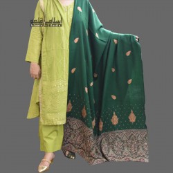 Acro Green Woolen Women’s Shawl with Brown Designer Borders