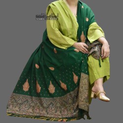 Acro Green Woolen Women’s Shawl with Brown Designer Borders