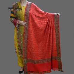 Women’s Acro Red Woolen Shawl with Self Embroidery