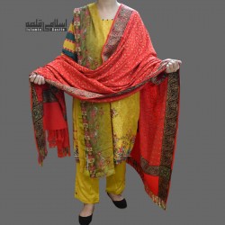 Women’s Acro Red Woolen Shawl with Self Embroidery